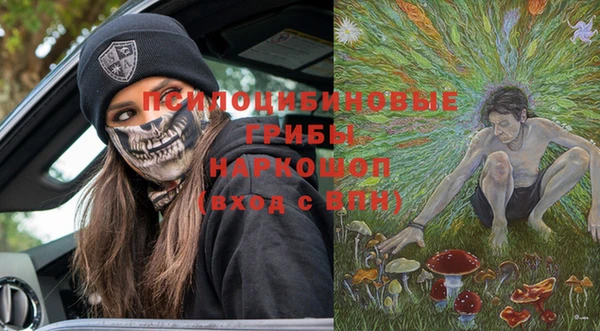 a pvp Алзамай