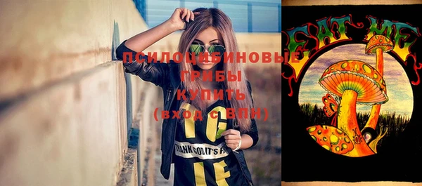 a pvp Алзамай